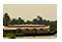 alleppey houseboat rates