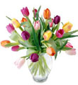 20 Stem Mixed Tulip Bouquet with Glass Vase